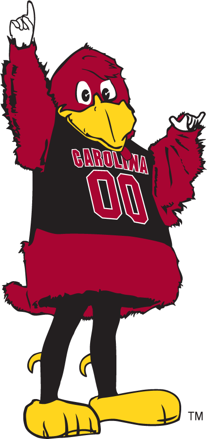 South Carolina Gamecocks 1998-2005 Mascot Logo DIY iron on transfer (heat transfer)